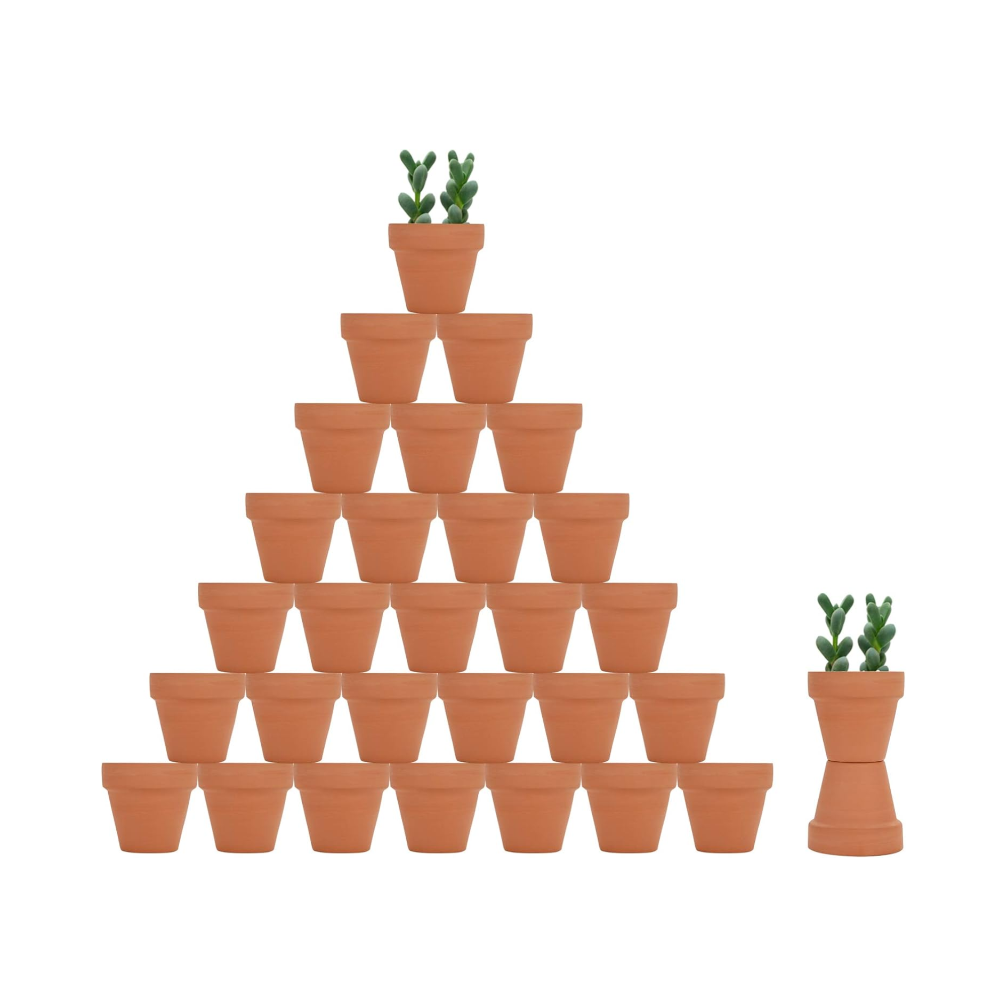 25 Pieces Terracotta Pots