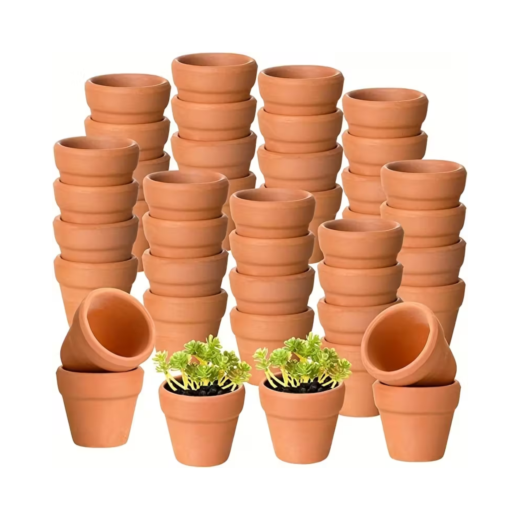 100 Pieces Terracotta Pots