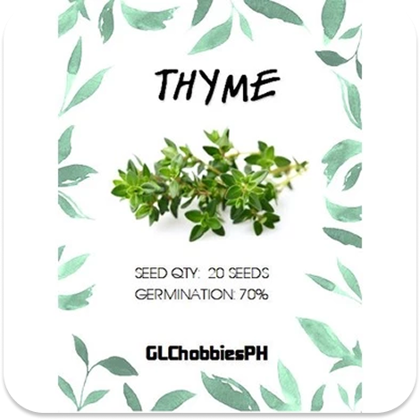 Thyme Seeds