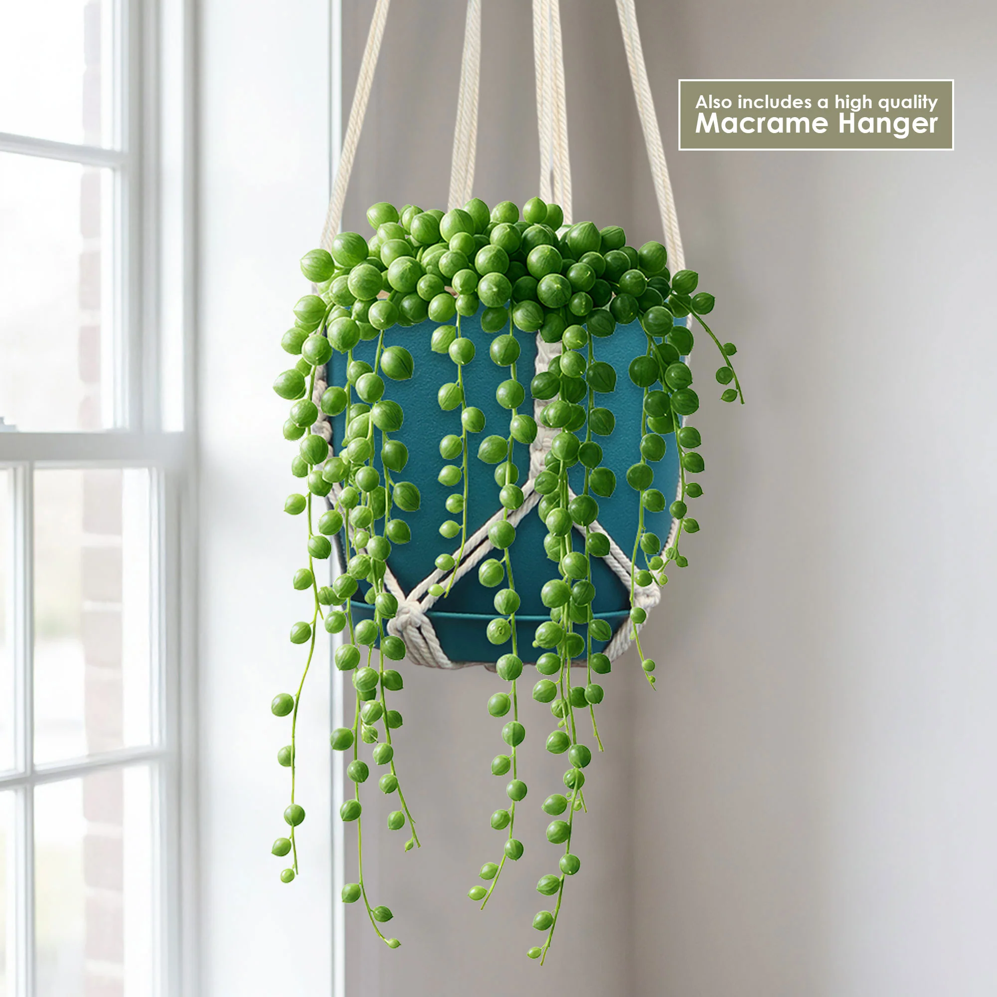 String of Pearls