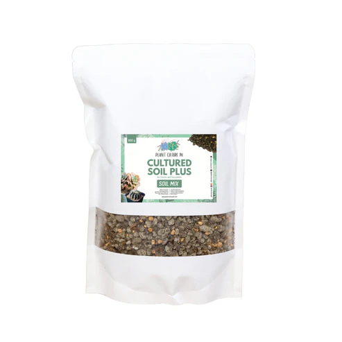 Cultured Soil Plus for Cactus and Succulents (with Akadama, Kanuma)