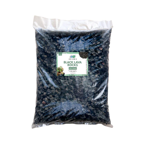 Black Lava Rocks