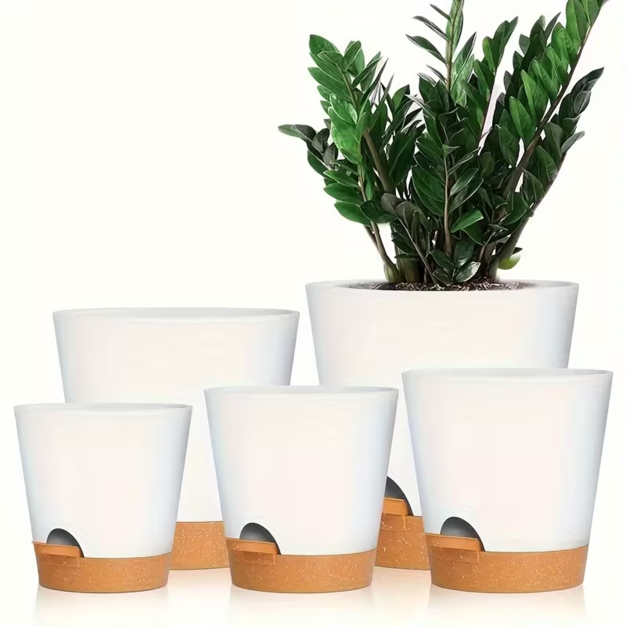 Self-Watering Pot (5 pieces)