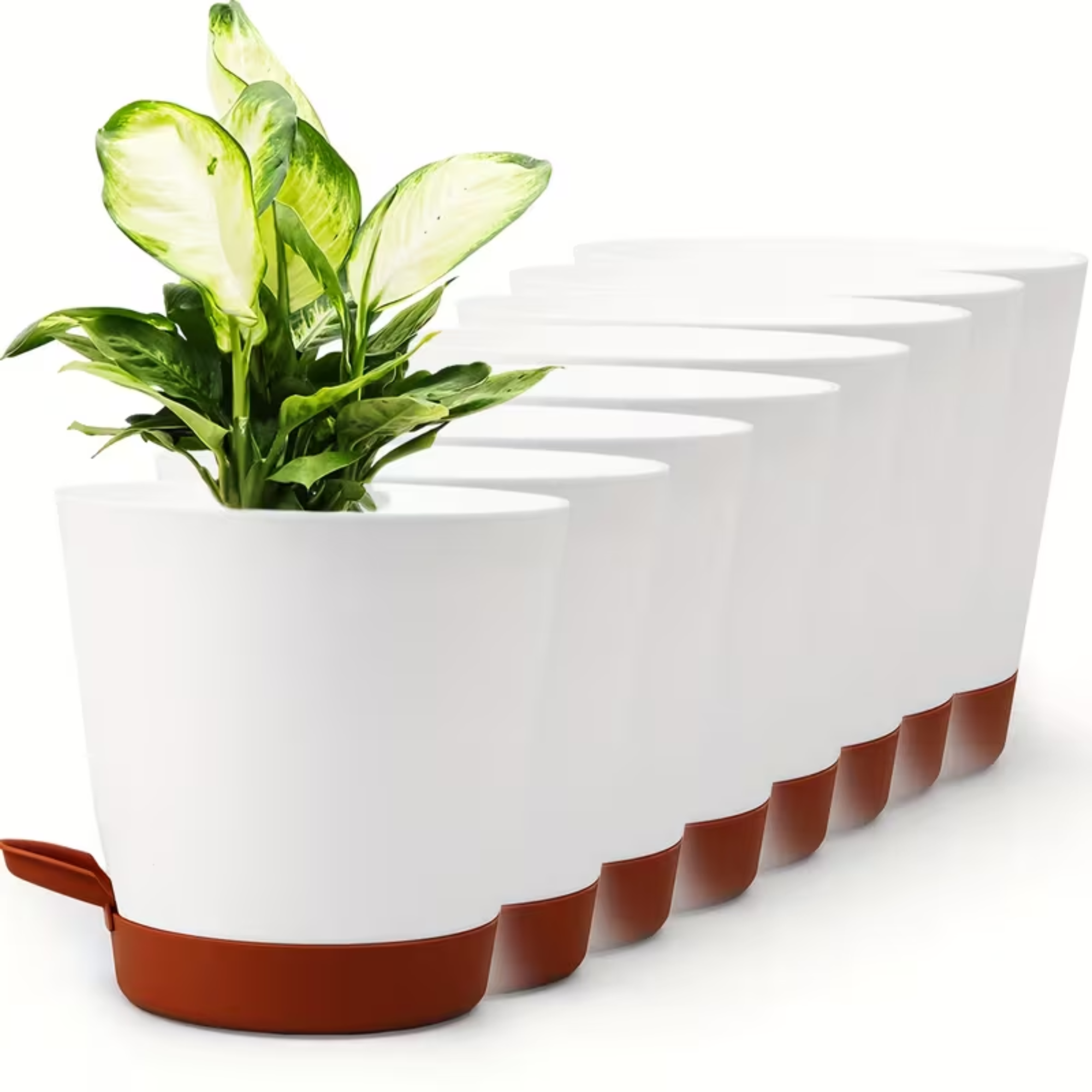 Self-Watering Pot (8 pieces)