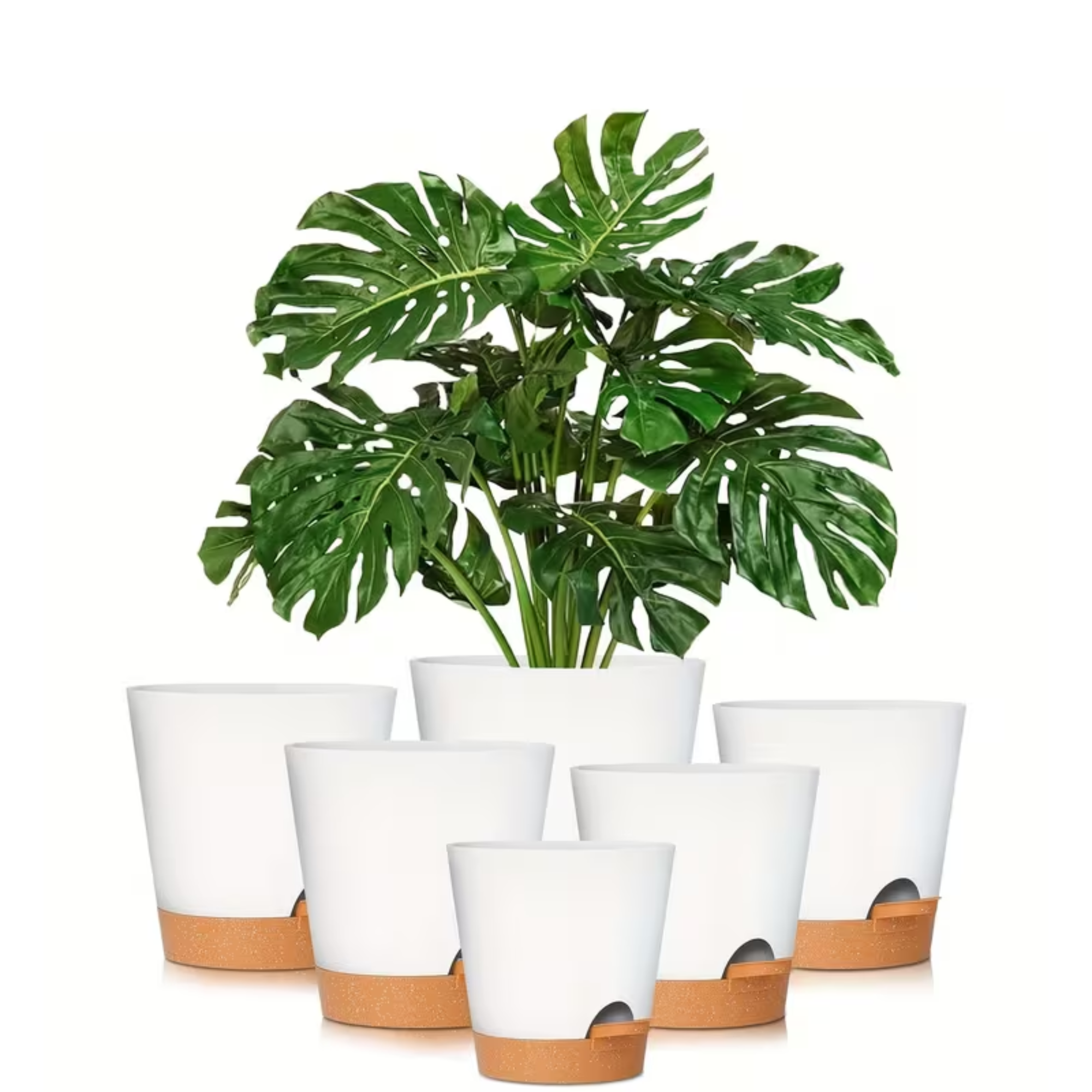 Self-Watering Pot (6 pieces)